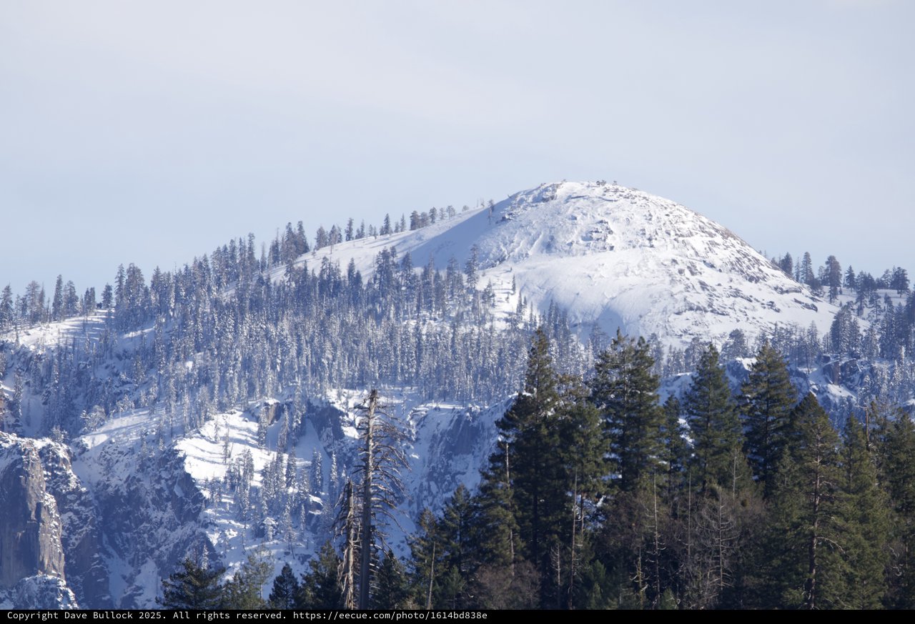 Snow-Covered Mountain Peak Through Winter Forest