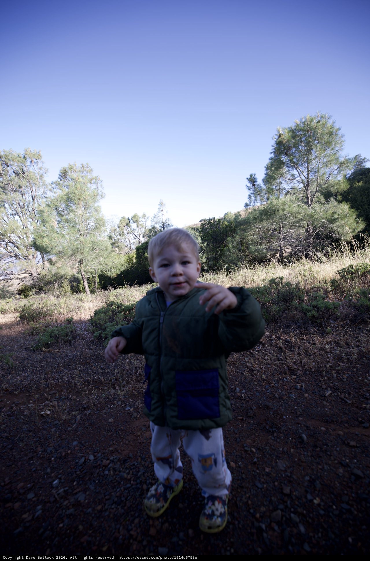 Curious Toddler Explores Mt. Diablo Trail