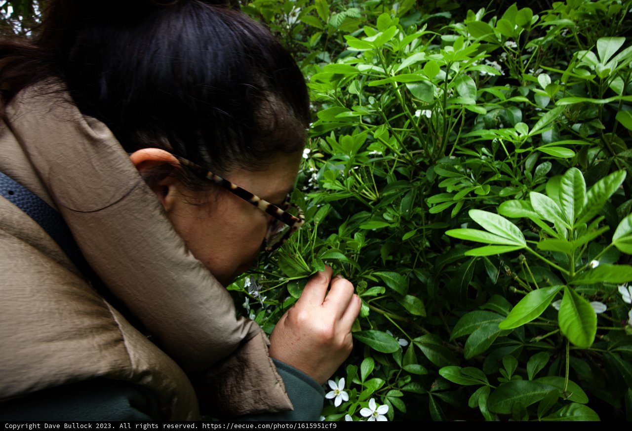 Discovering Nature's Beauty