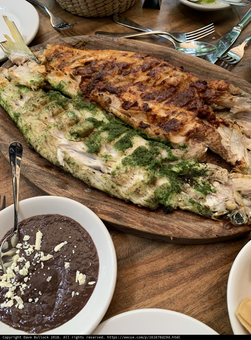 Fresh Catch