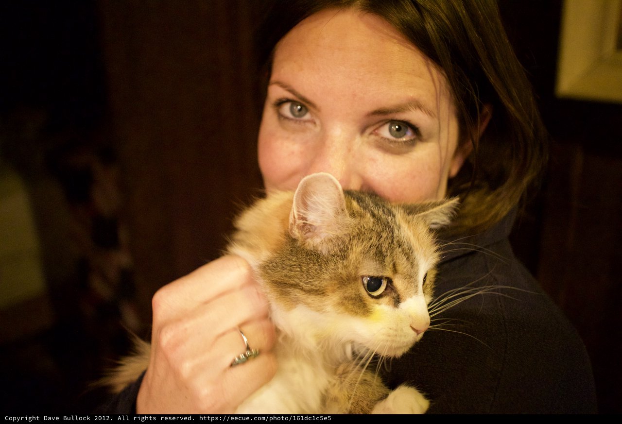 Woman and Her Fluffy Tabby Cat Share a Moment