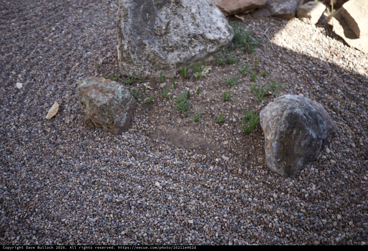 Zen Garden with Rocks and Sparse Gravel Ground