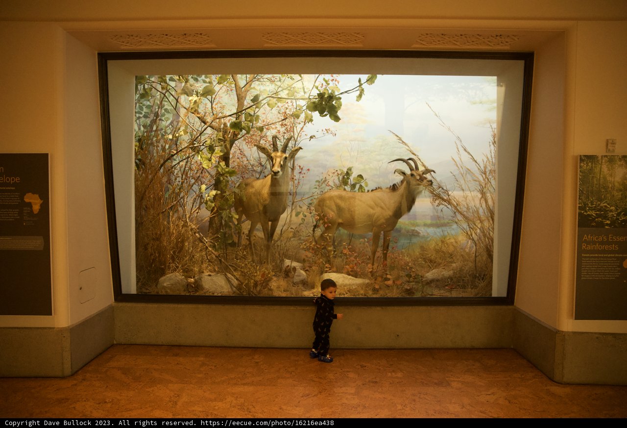 A Young Art Enthusiast's Exploration at the Academy of Sciences