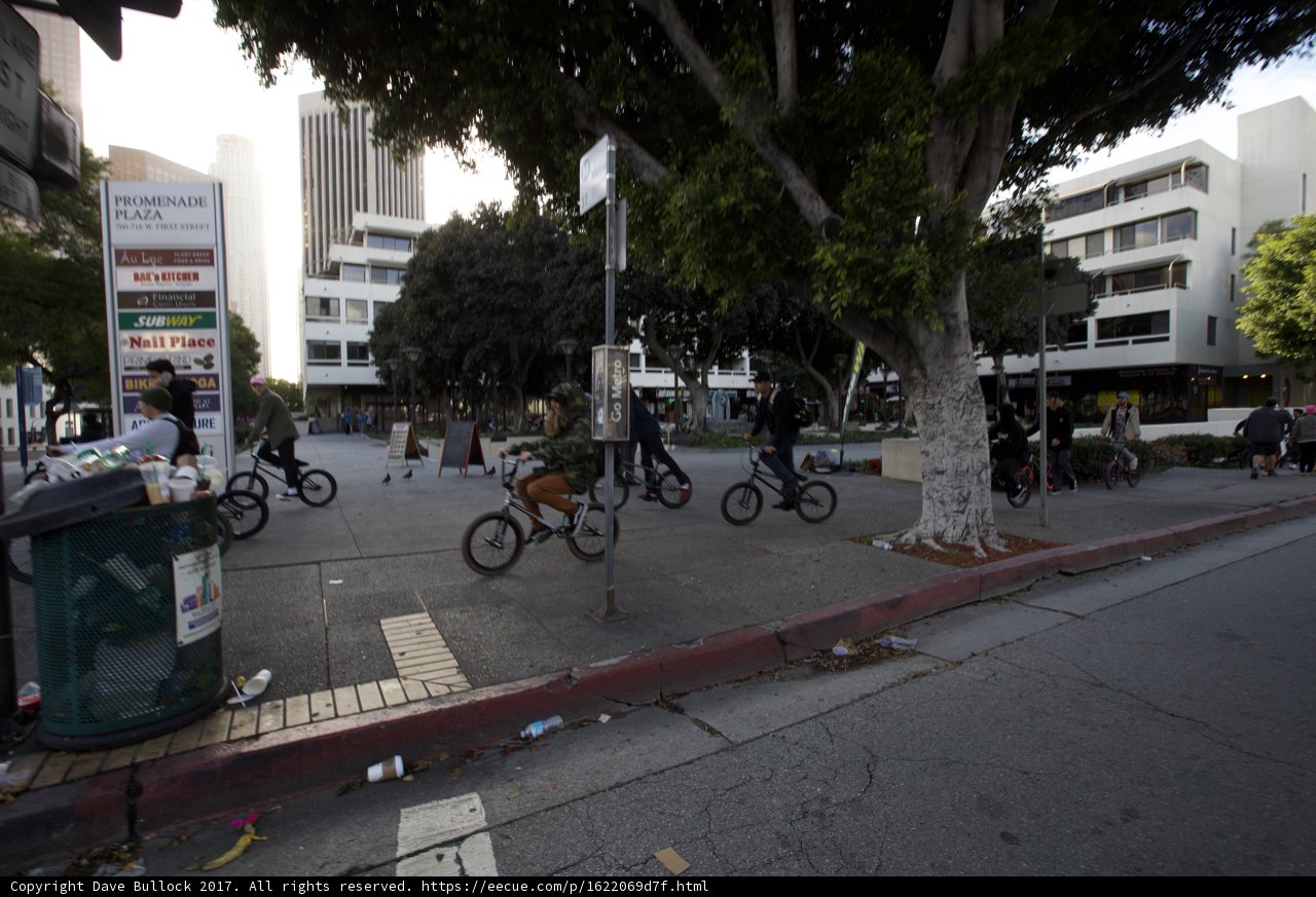 Pedaling through the Urban Jungle