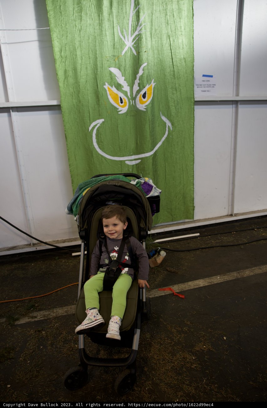 Wesley's Stroll in Fort Mason - 2023
