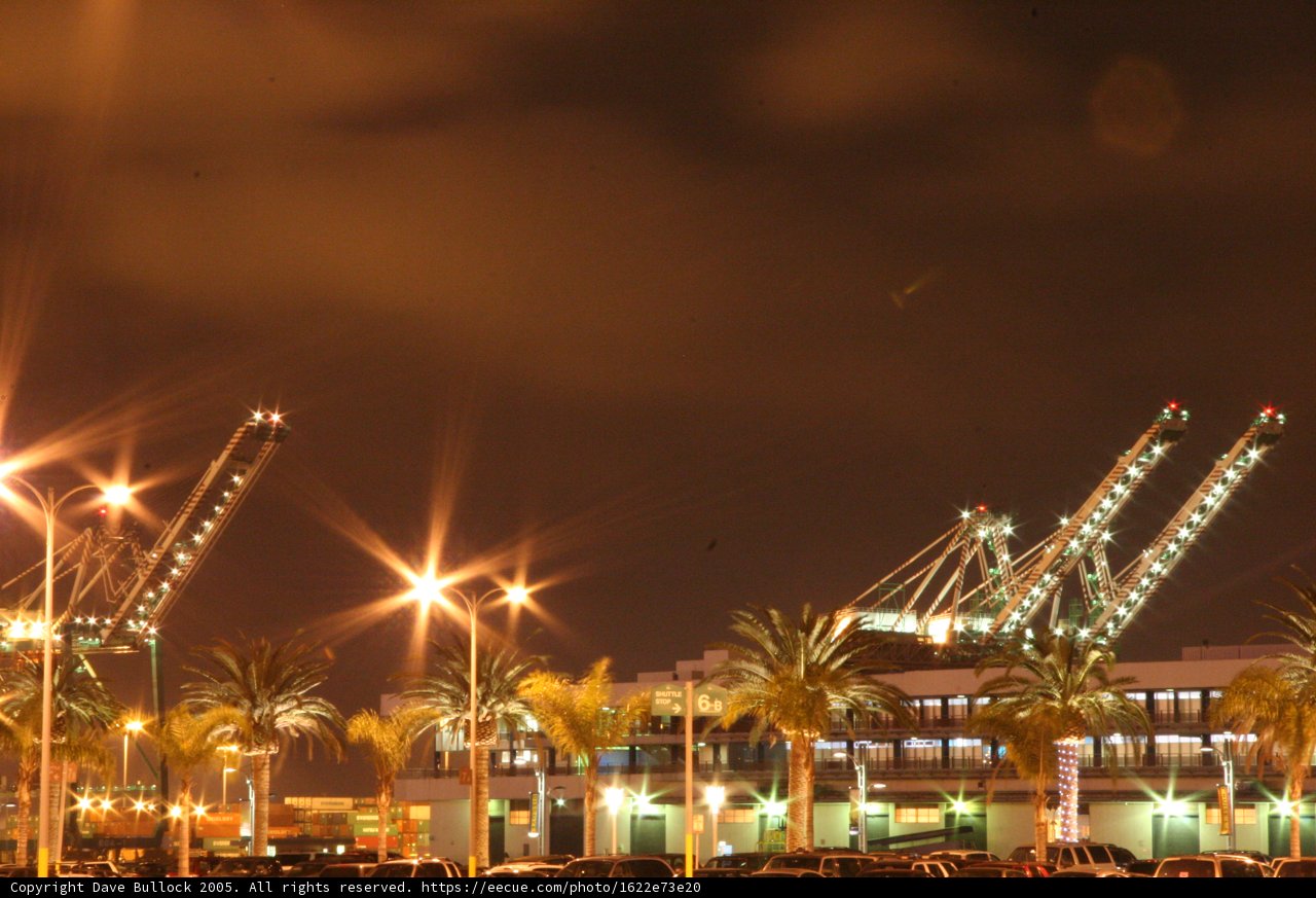 Dark Skies and Palm Trees at the Amusement Park