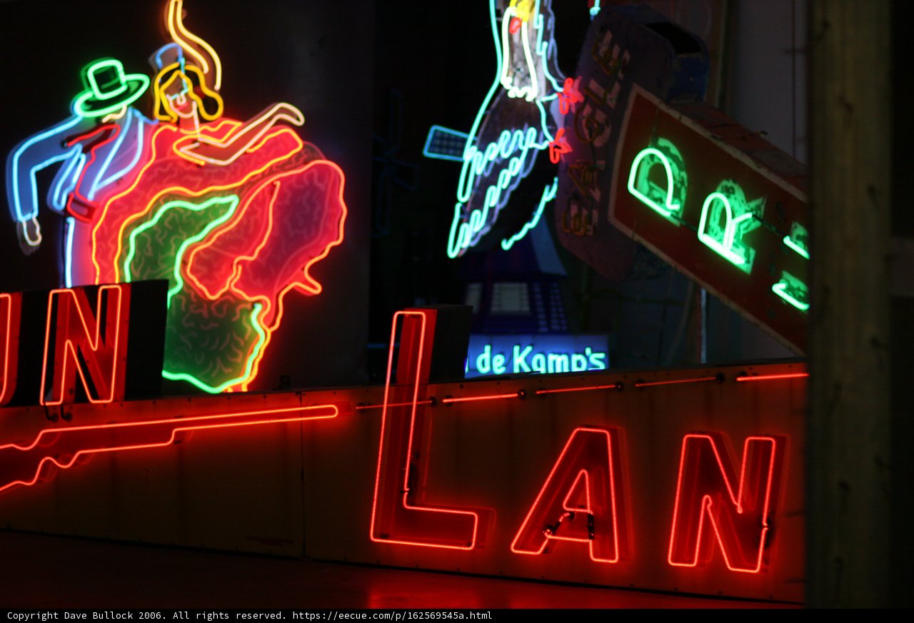 Neon Lovers