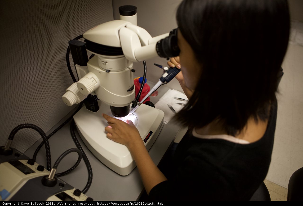 Woman at Work in the Lab
