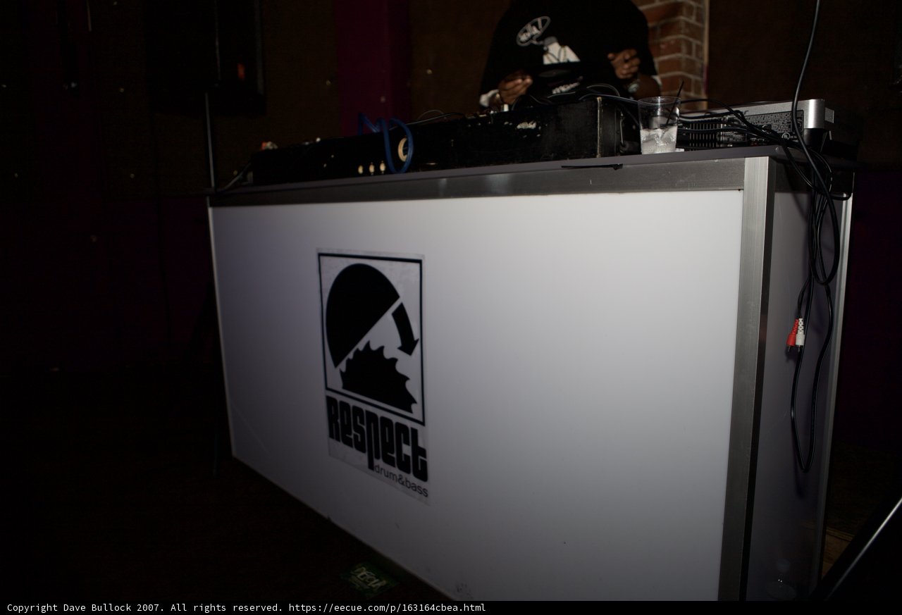 DJ Bailey Spins the Crowd #respect