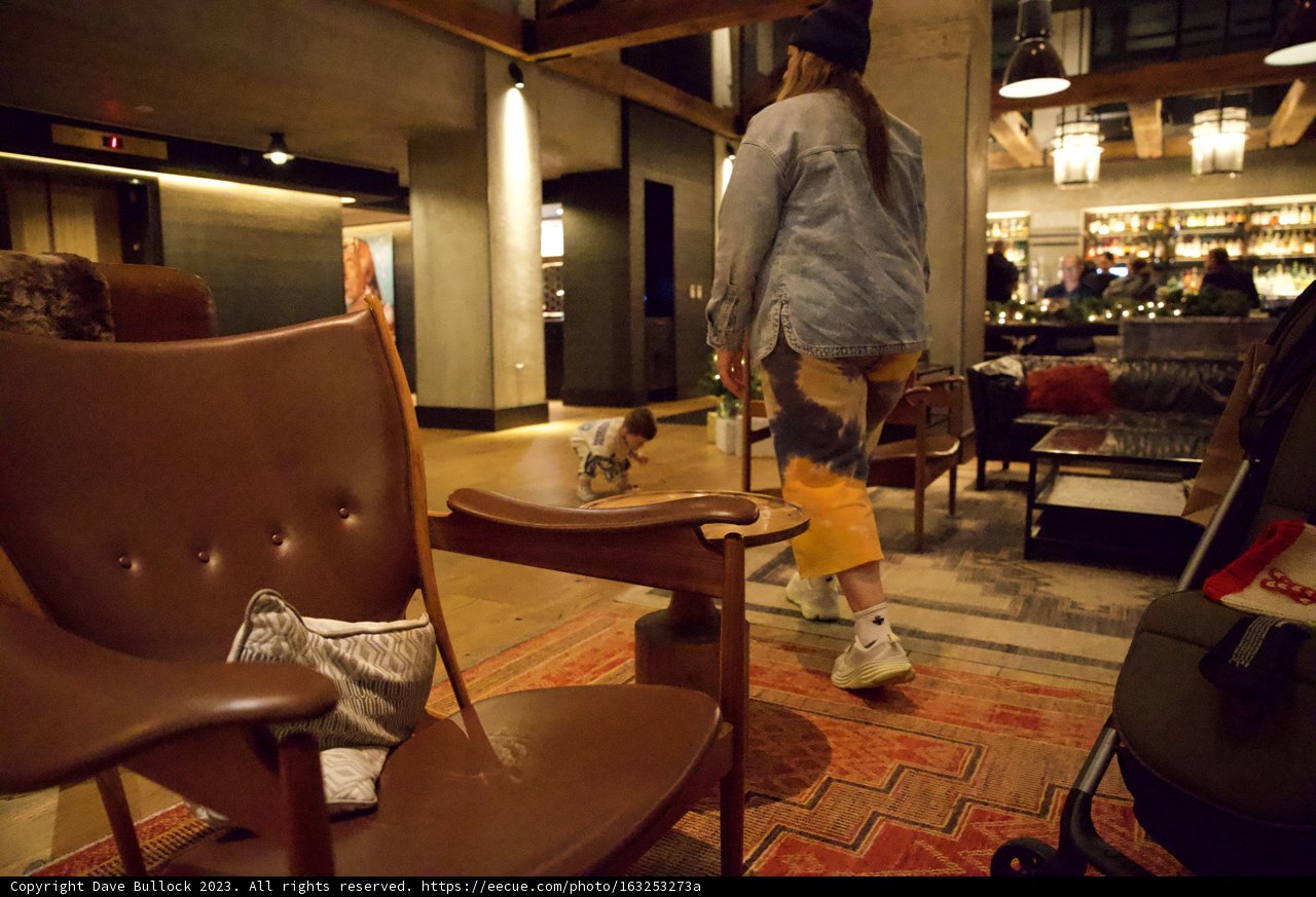 Metropolitan Canine Adventure