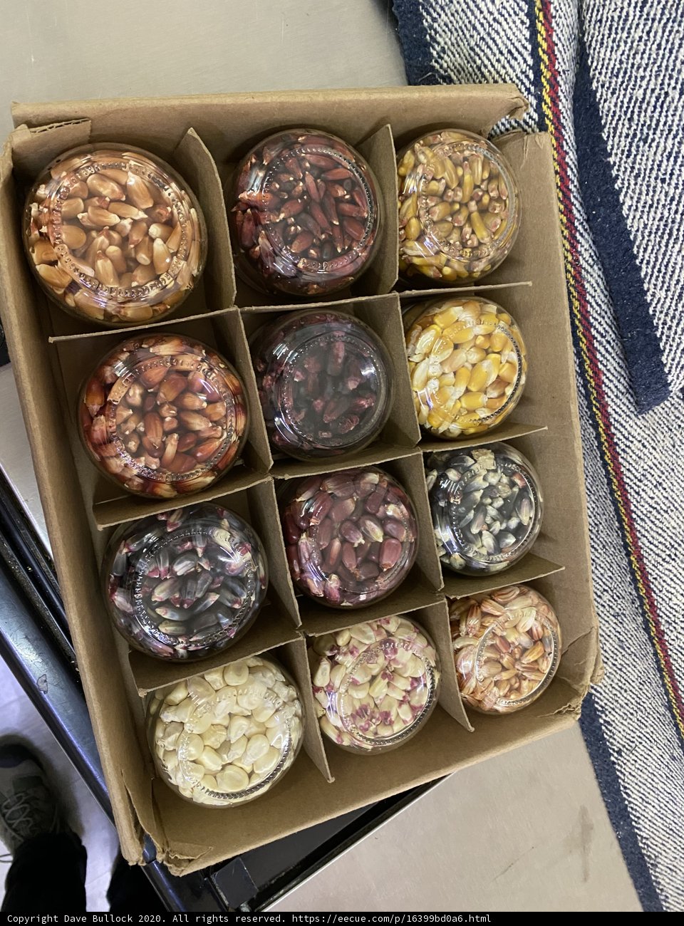 Nutty Delight