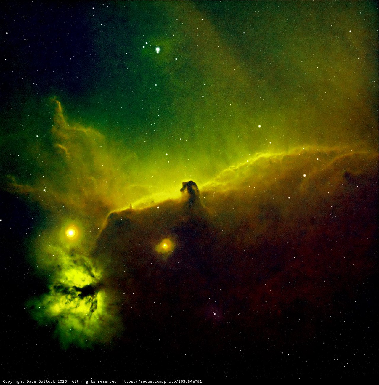 Horsehead Nebula in Vibrant False Color Emission