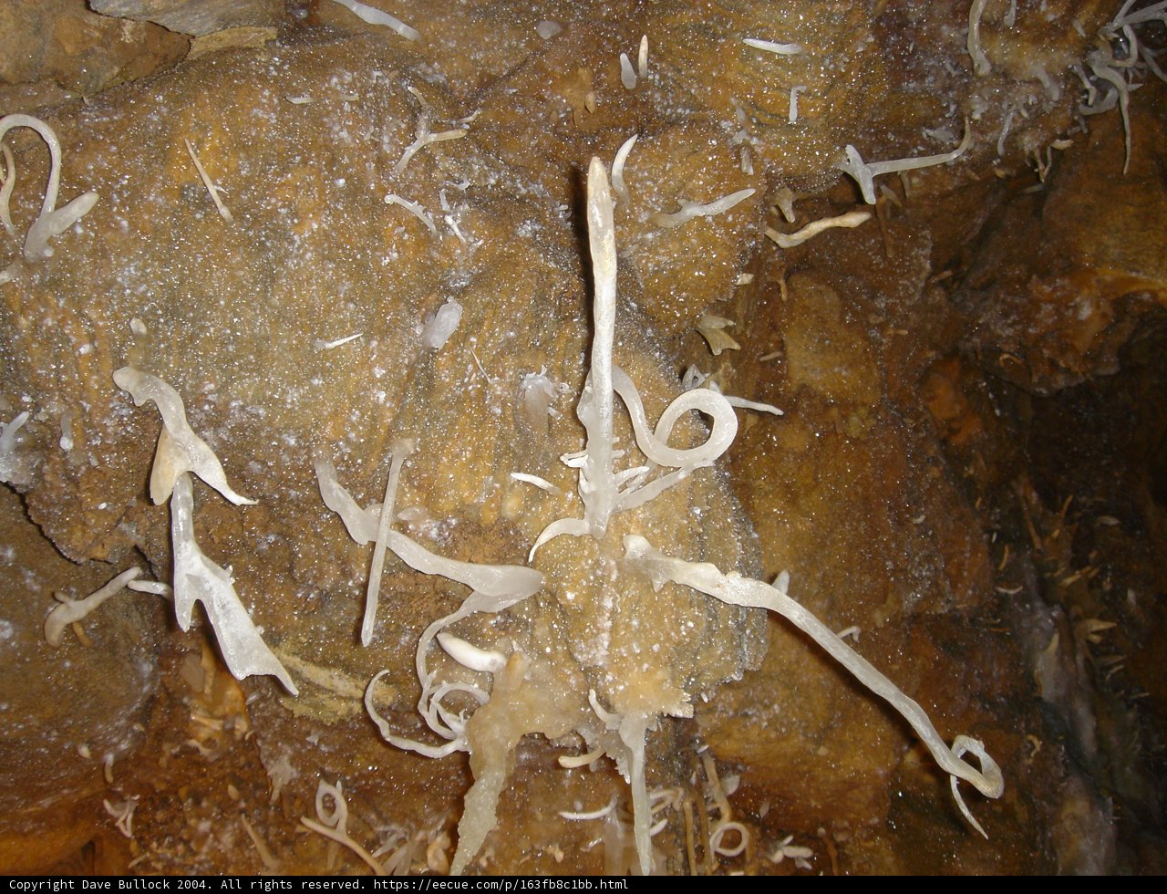 Cave Growth