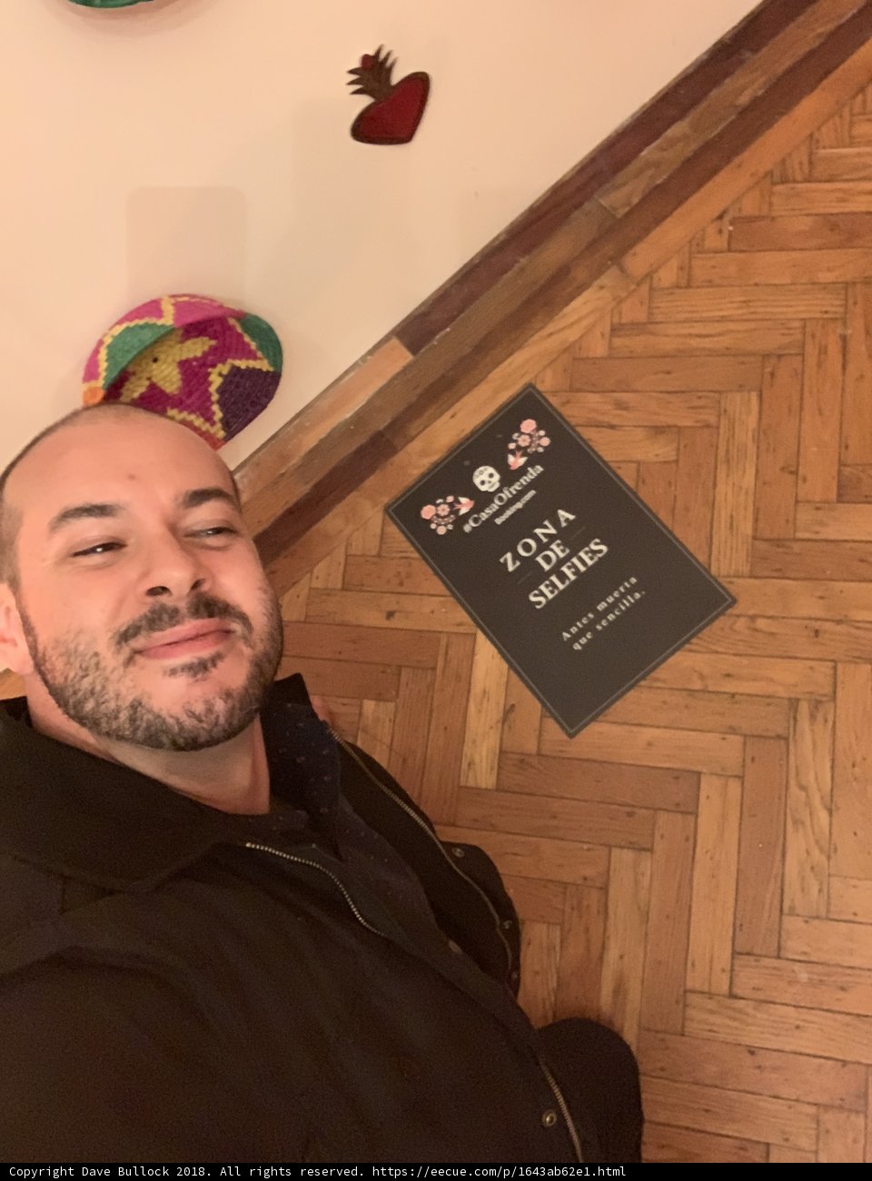 Selfie Madness