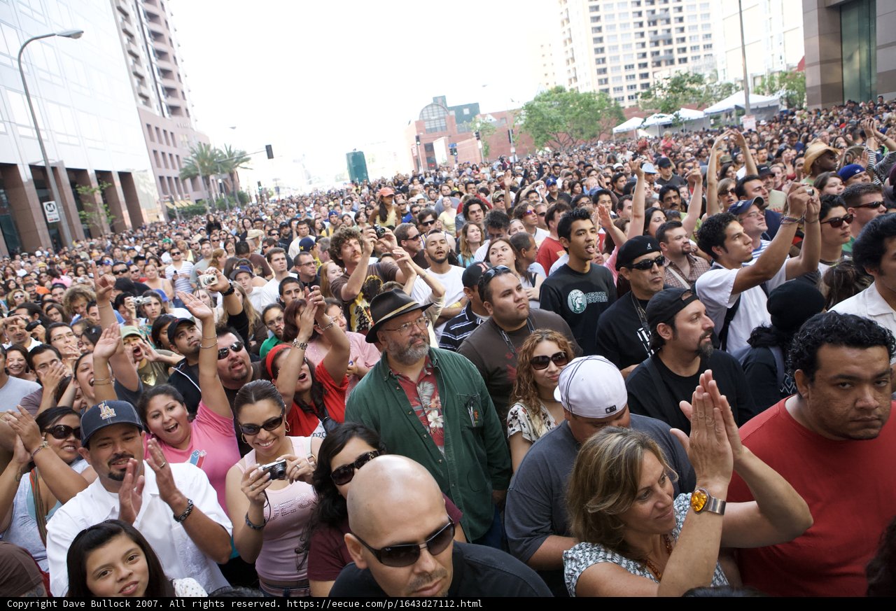 Street Festival Extravaganza