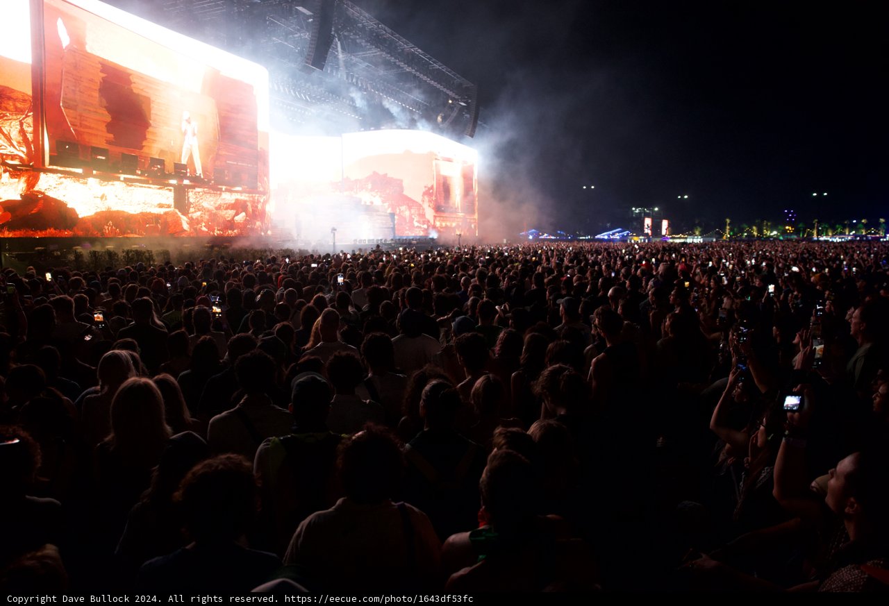 Electric Nights at Coachella 2024