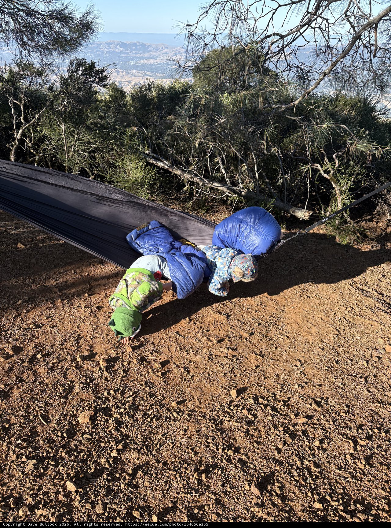 Two Kids Exploring Under a Hammock on Mt. Diablo