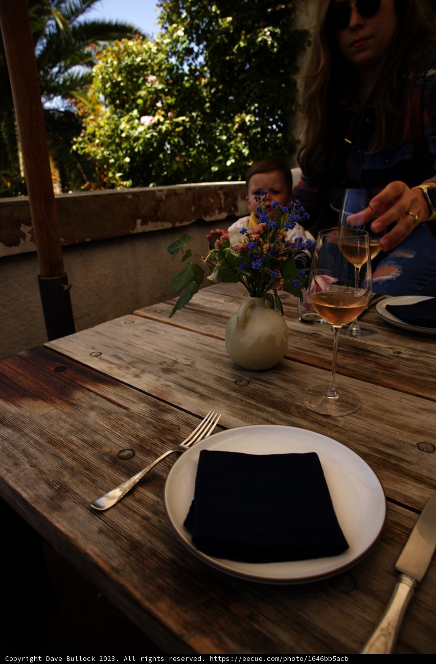 Elegant Afternoon Gathering