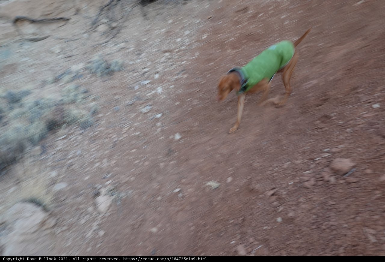 Running Through the Outdoors