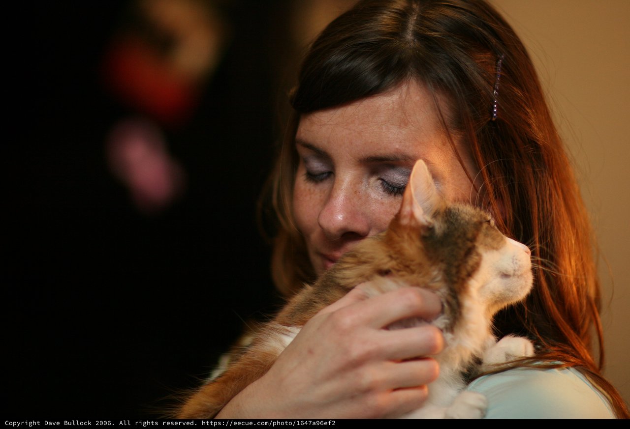 Tender Moment: Woman Nuzzles Ginger Kitten Lovingly