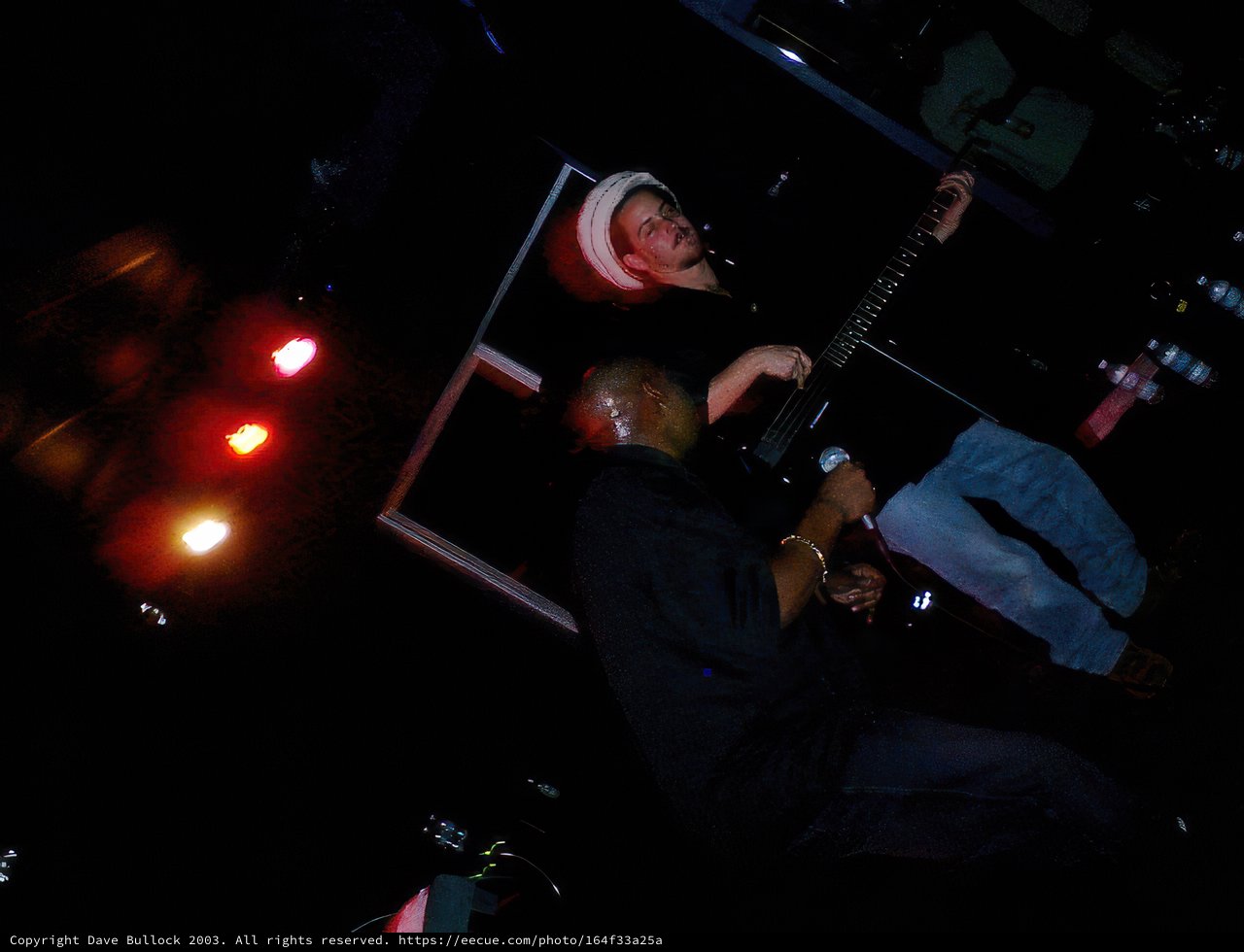 Spotlight on the Guitarist