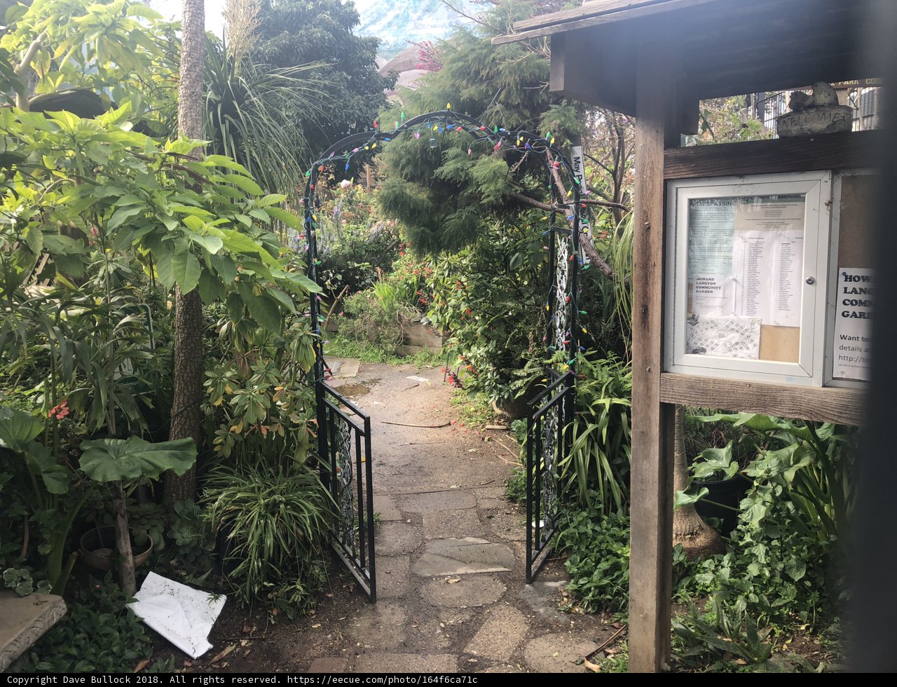 An Arbour Pathway