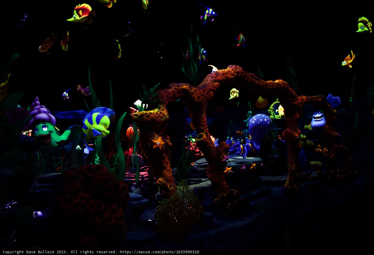 Magical Underwater Adventure at Disneyland