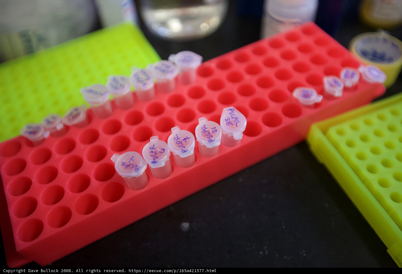 Colorful Tubes Tray
