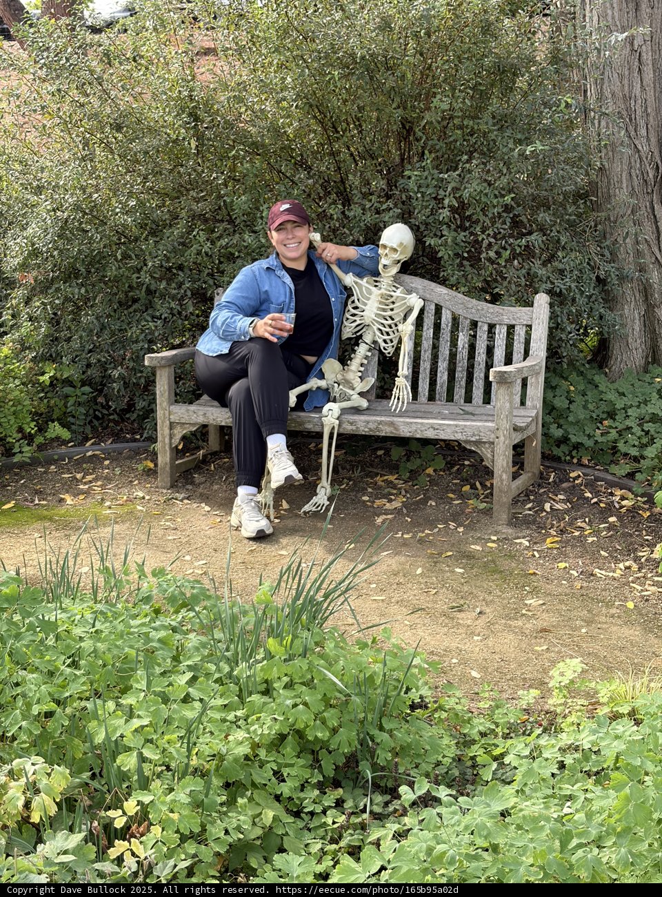 Unlikely Companions