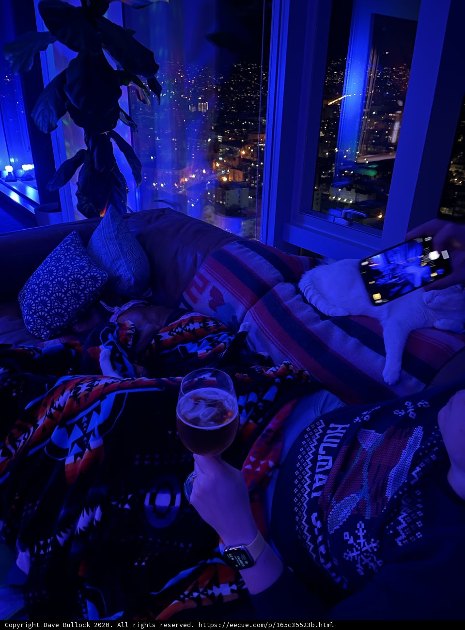 Cozy Night In