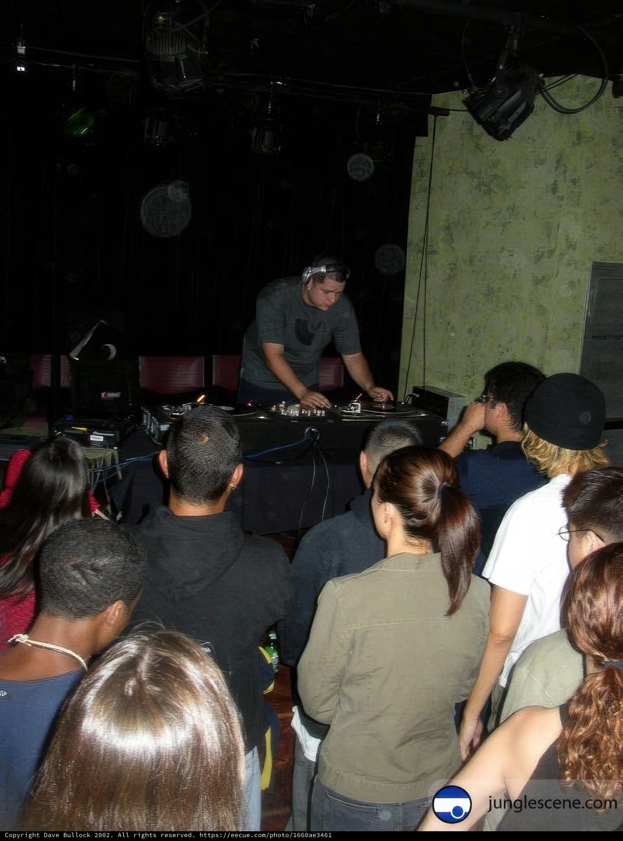 Nightclub Crowd Grooving to Music