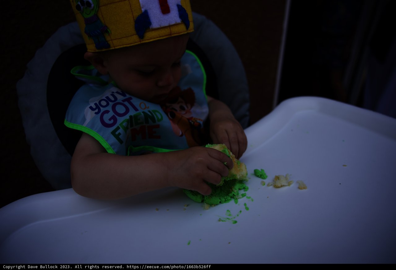 Turning 1: Wesley's Birthday Celebration