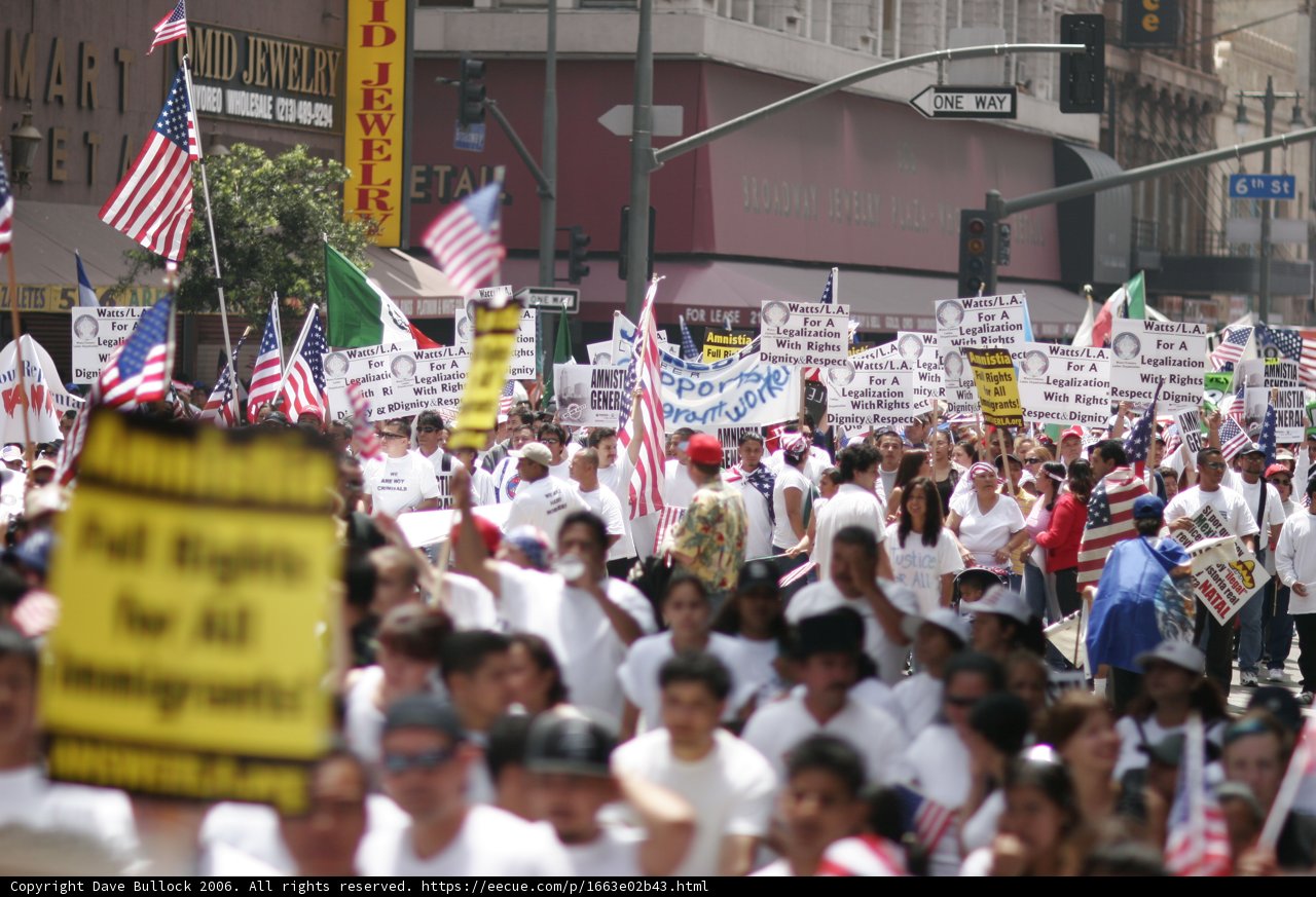 Vibrant Parade of People advocating for a Cause