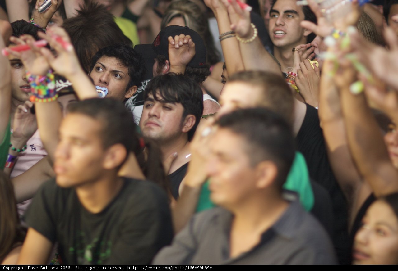 Electric Crowd Energized by Music