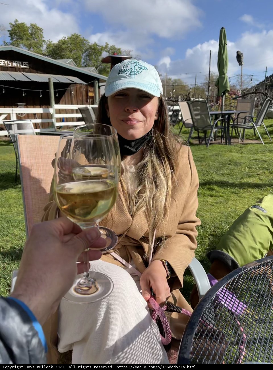 Sipping Wine in the Countryside