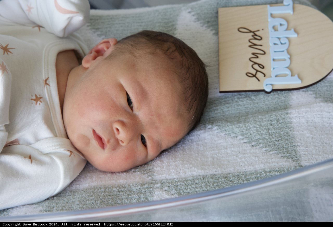 Welcome to the World, Leland