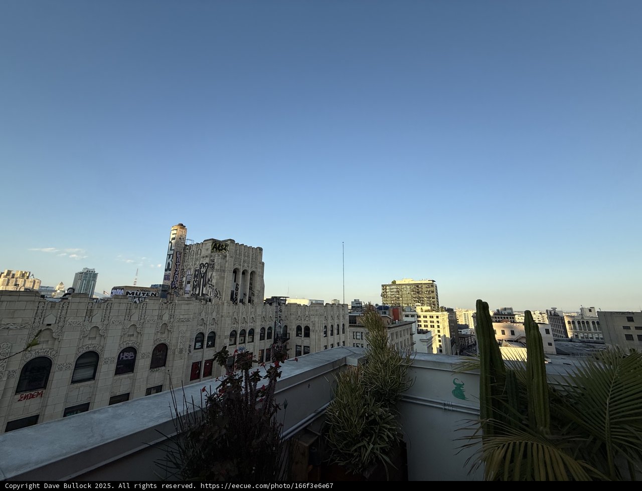 Urban Canopy at Dusk