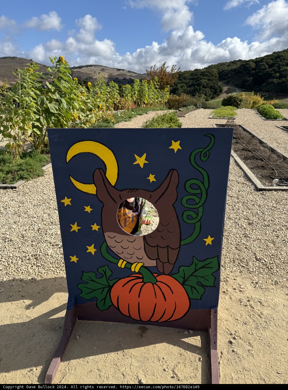 Whimsy in the Carmel Countryside