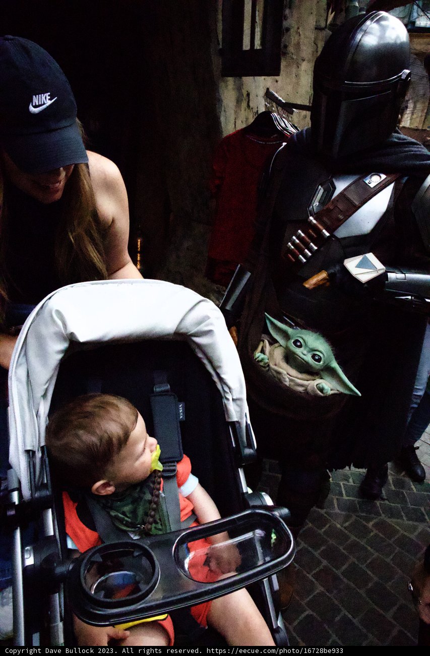 Family Fun at Disneyland
