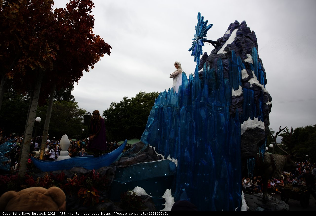 Frozen Fantasy Float