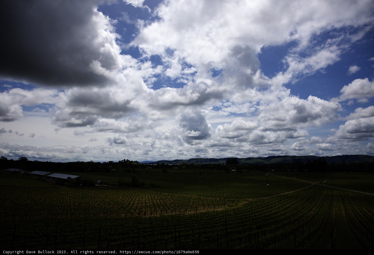 Majestic Vineyard under a Californian Sky