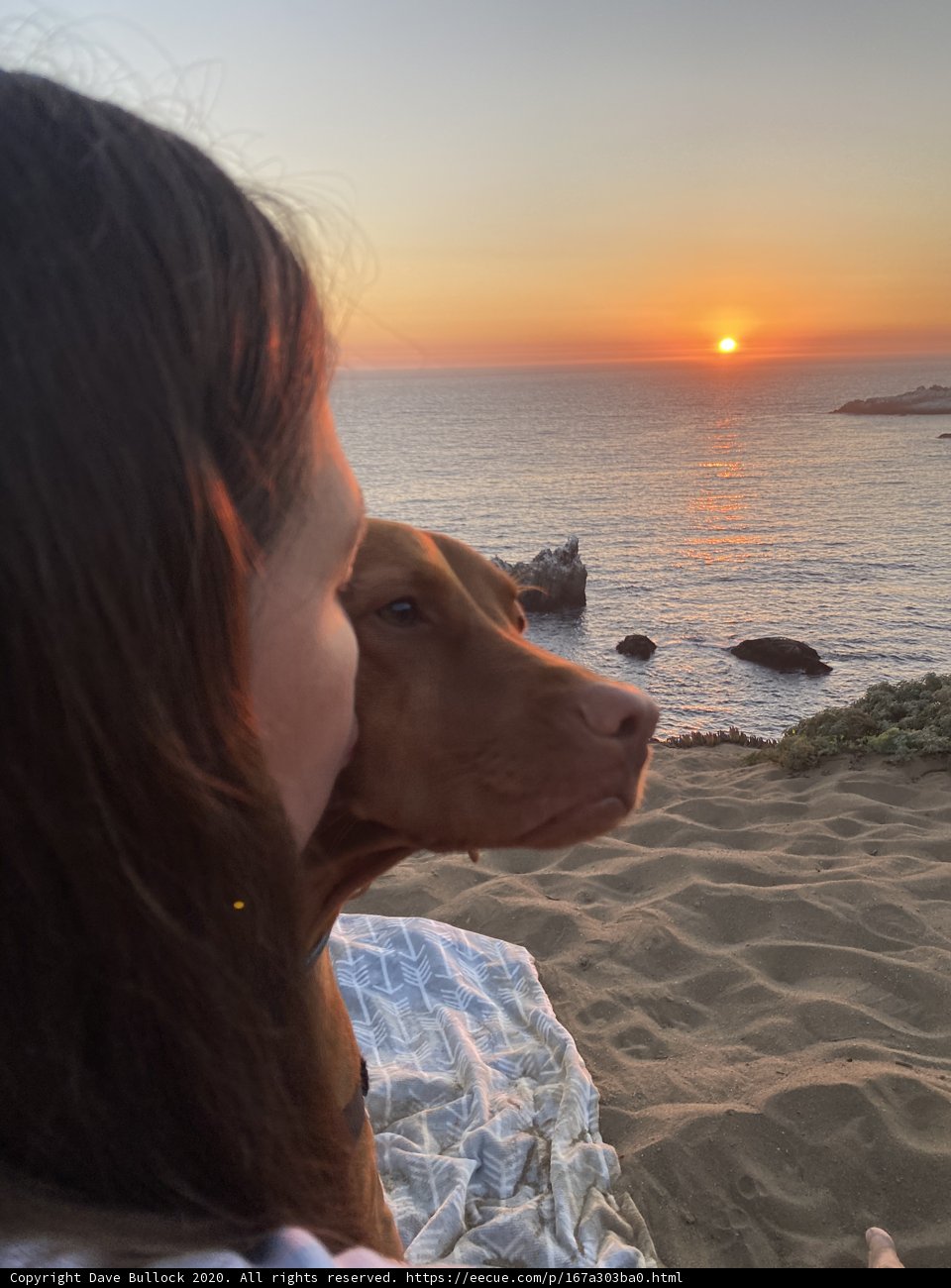 Sunset Stroll with My Furry Friend