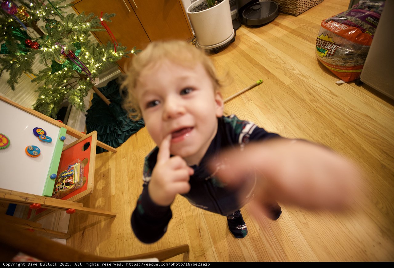 Toddler Reaching for Camera on Christmas Morning
