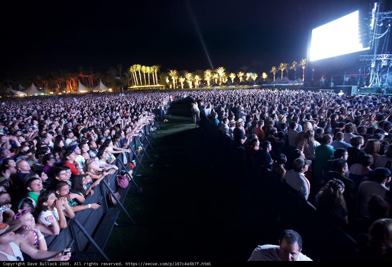 Electric Night: A Crowd at Coachella 2009 Concert