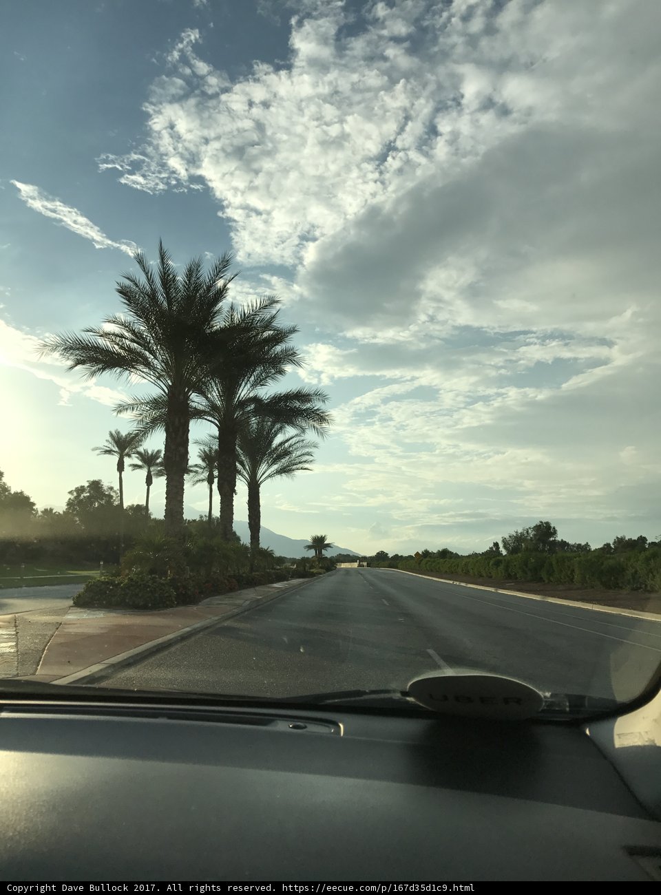 Road Trip Views