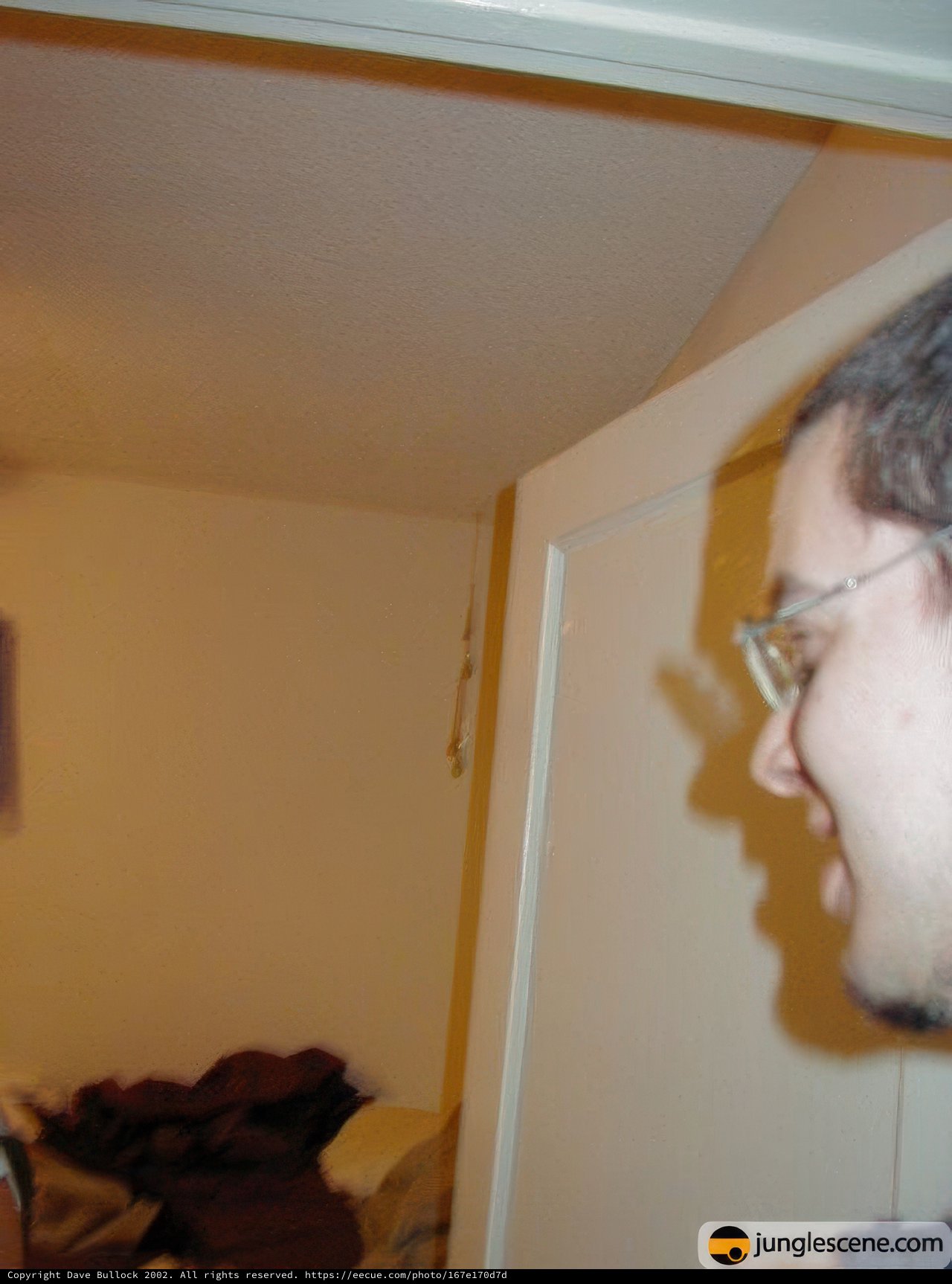 The Man and the White Door