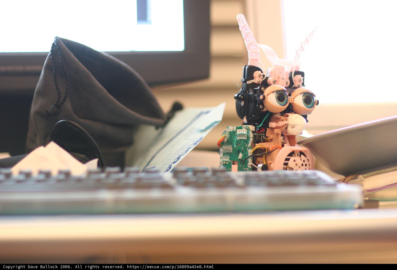 Computer Desk Companion