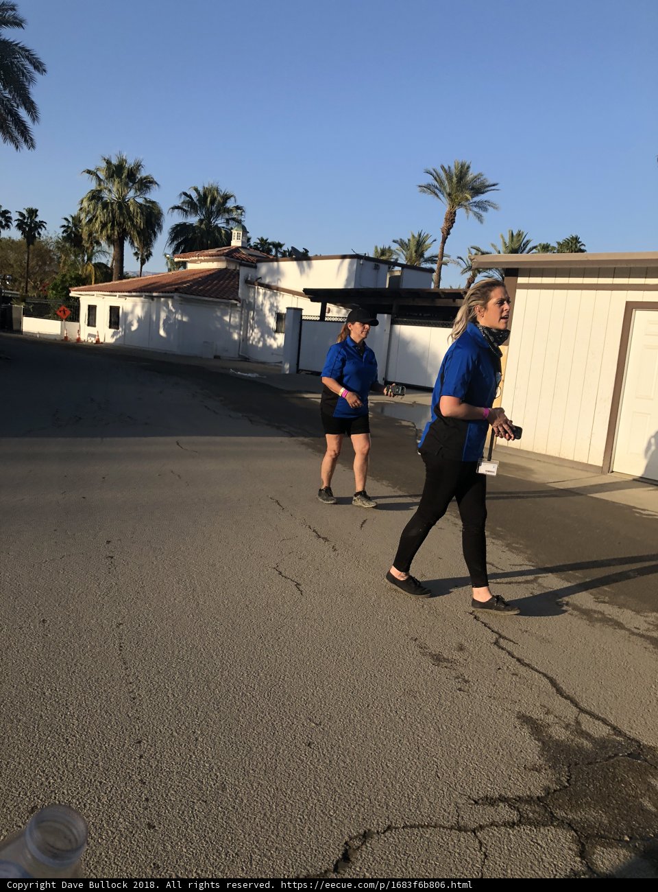 Blue Shirts and Sunny Skies