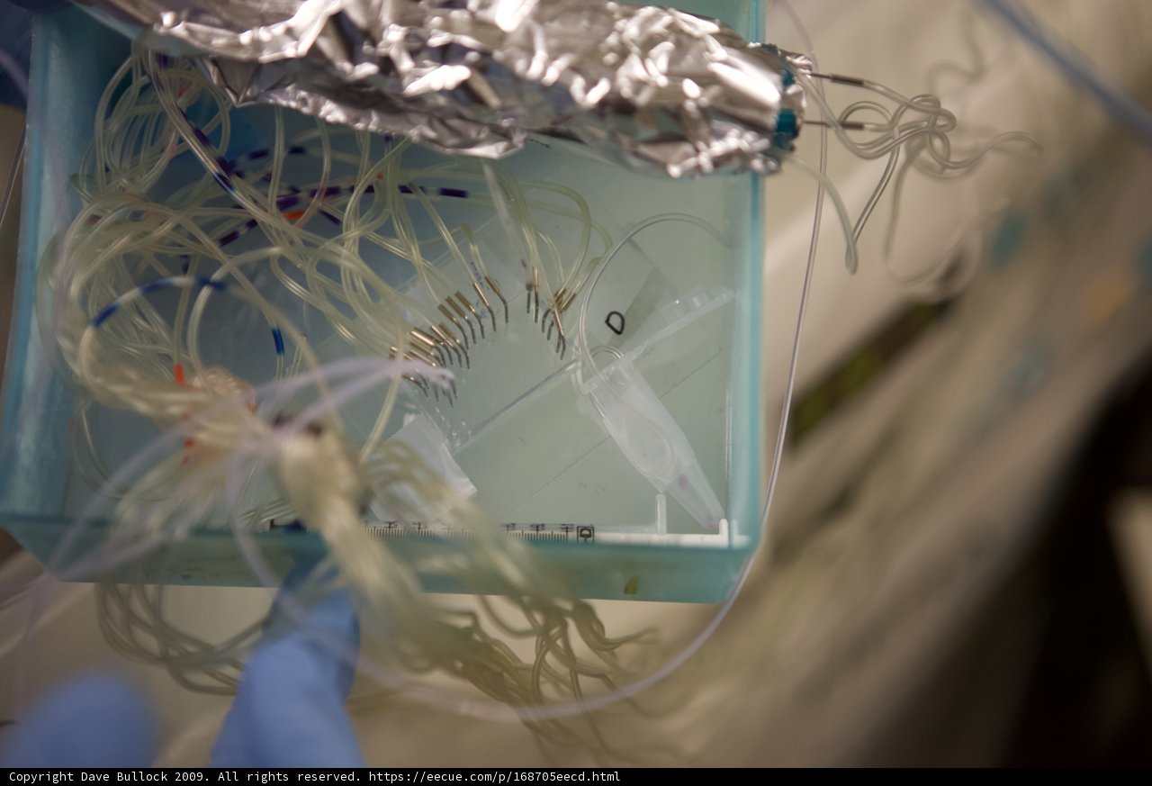 Micro Bio Chip Components