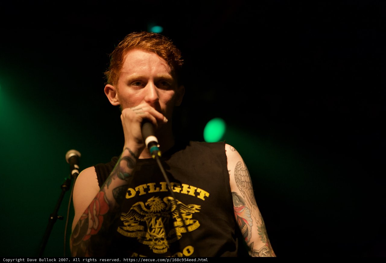 Rocking Out with Bad Religion